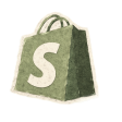Shopify payments